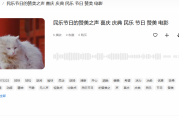 音乐之美：如何用赞美音乐提升生活品质与情感表达