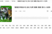 慢慢音乐：在快节奏世界中寻找内心宁静的艺术