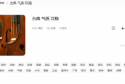 抒情轻音乐纯音乐的魅力与应用指南